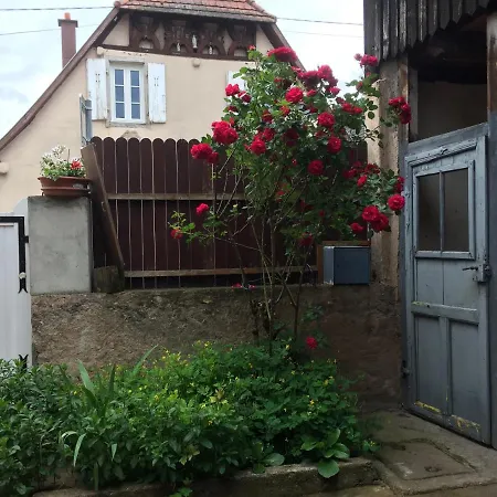 Апартаменты Spacieux Dans Joli Village Alsacien *