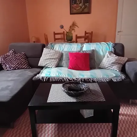 Appartement Spacieux Dans Joli Village Alsacien Châtenois