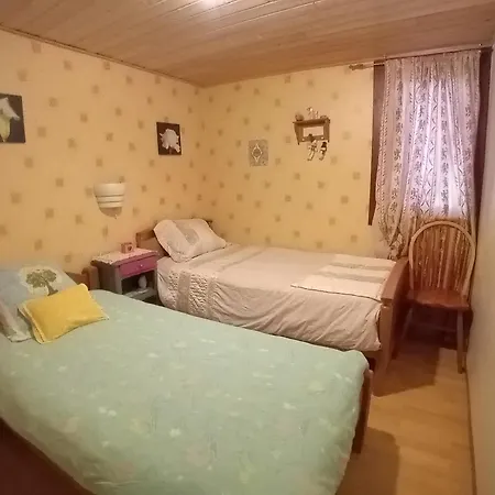 Spacieux Dans Joli Village Alsacien Châtenois