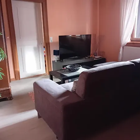 Spacieux Dans Joli Village Alsacien *