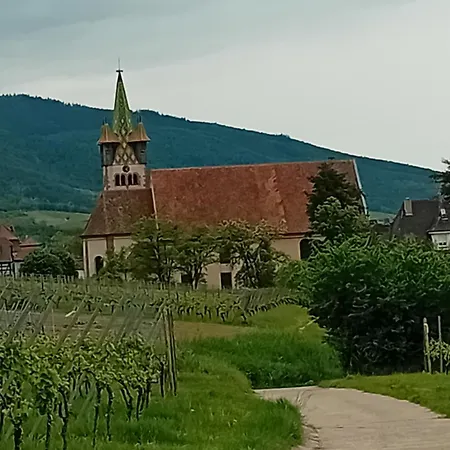 Spacieux Dans Joli Village Alsacien Lejlighed Châtenois