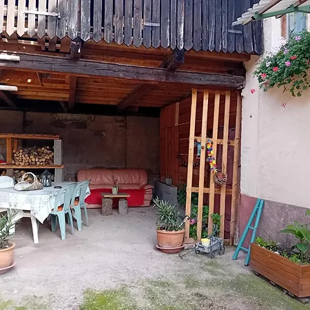 Spacieux Dans Joli Village Alsacien Апартаменты Шатнуа