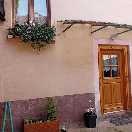 Appartement Spacieux Dans Joli Village Alsacien Châtenois