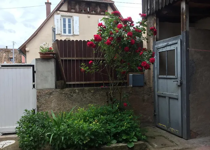 Appartement Spacieux Dans Joli Village Alsacien *