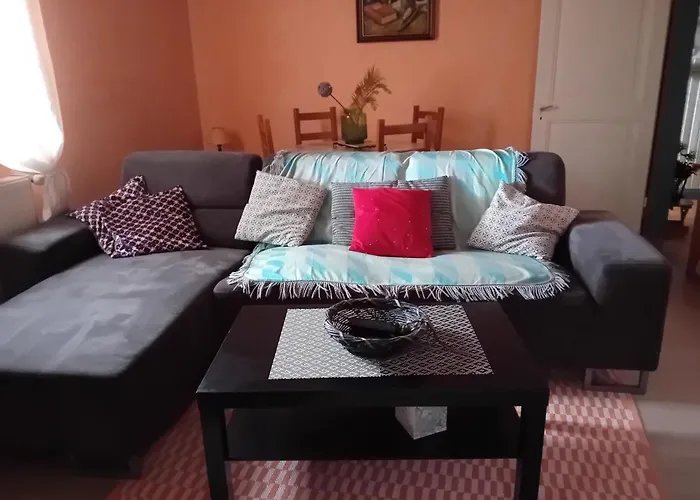 Appartement Spacieux Dans Joli Village Alsacien Châtenois