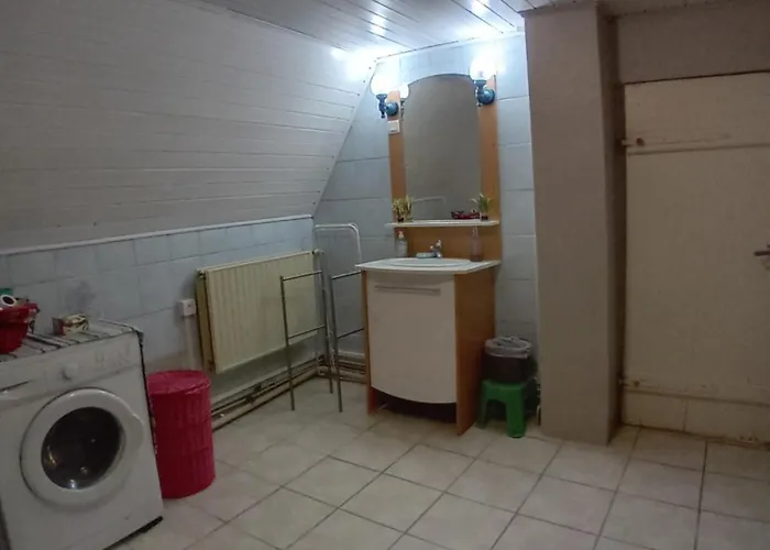 Appartement Spacieux Dans Joli Village Alsacien