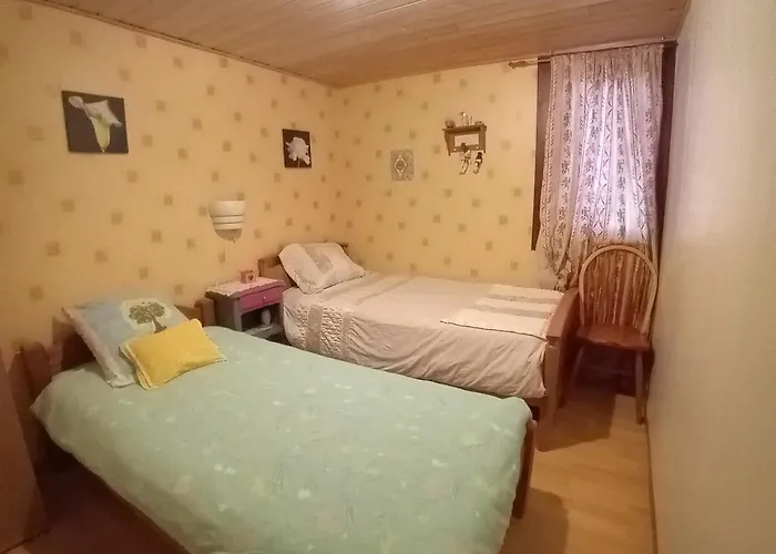 Spacieux Dans Joli Village Alsacien Châtenois