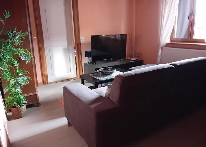 Spacieux Dans Joli Village Alsacien *