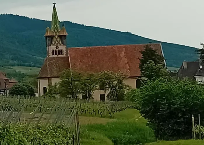 Spacieux Dans Joli Village Alsacien Appartement Châtenois