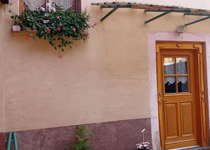 Appartement Spacieux Dans Joli Village Alsacien Châtenois