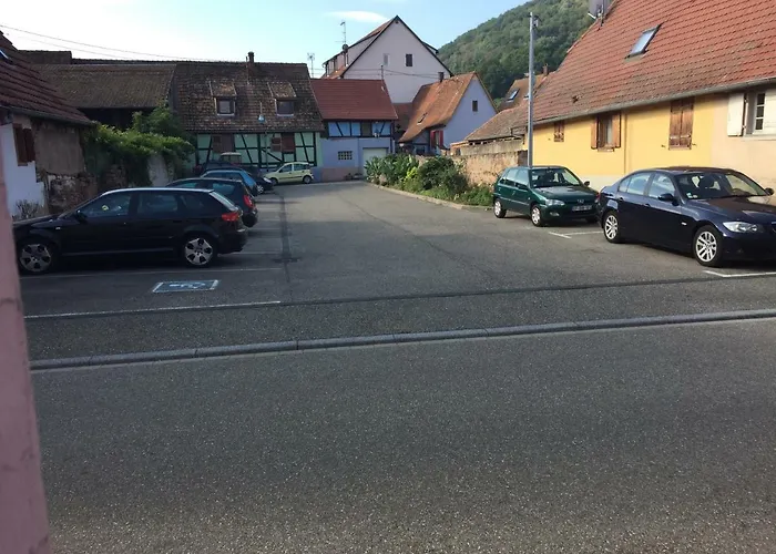 Appartement Spacieux Dans Joli Village Alsacien Châtenois